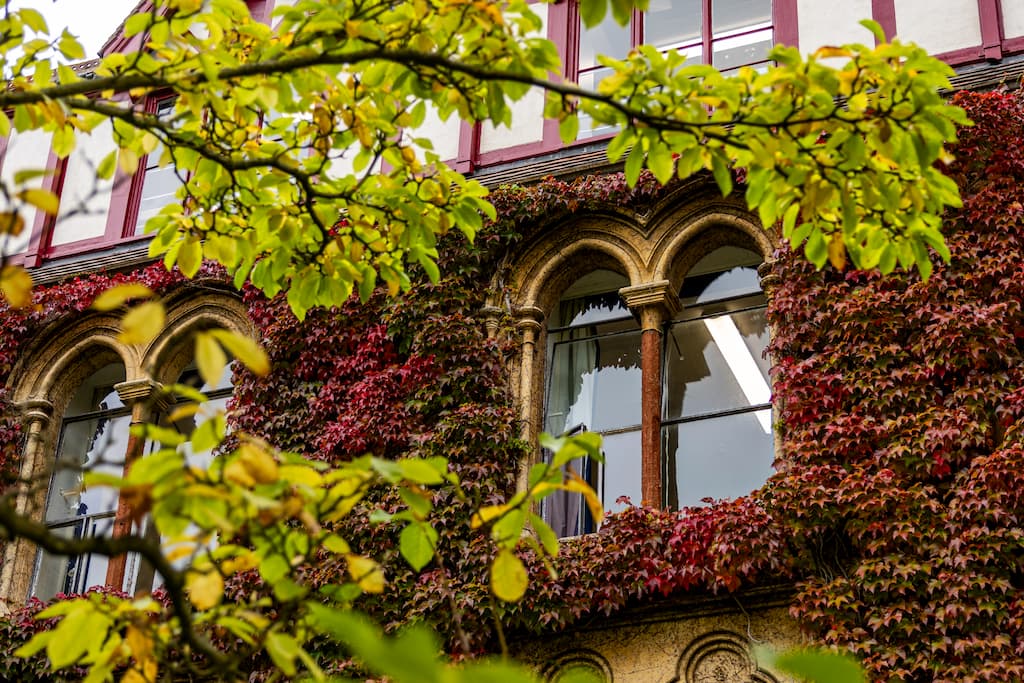 Support-and-Services